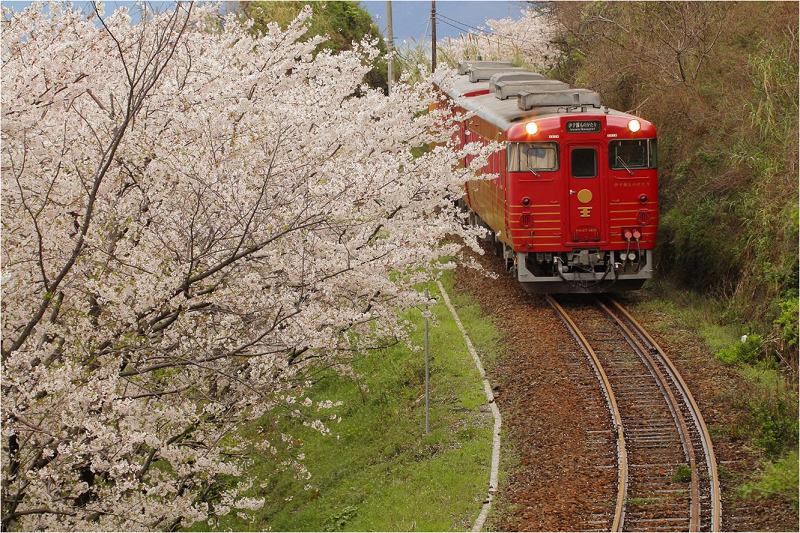 優雅なひととき 貸切観光列車 伊予灘ものがたり 双海編 と 道後温泉 満喫の旅 宇和島自動車