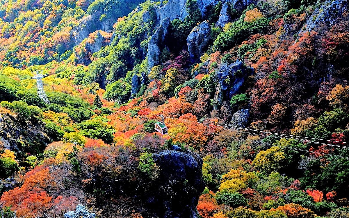 紅葉の小豆島 寒霞渓 日帰り 宇和島自動車